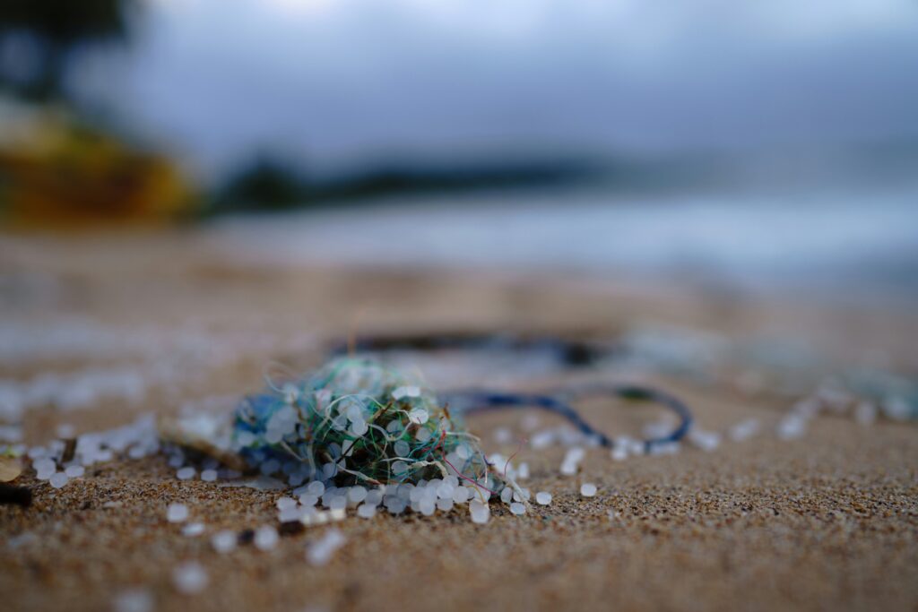 Microplastics found in placentas, human blood, and more.