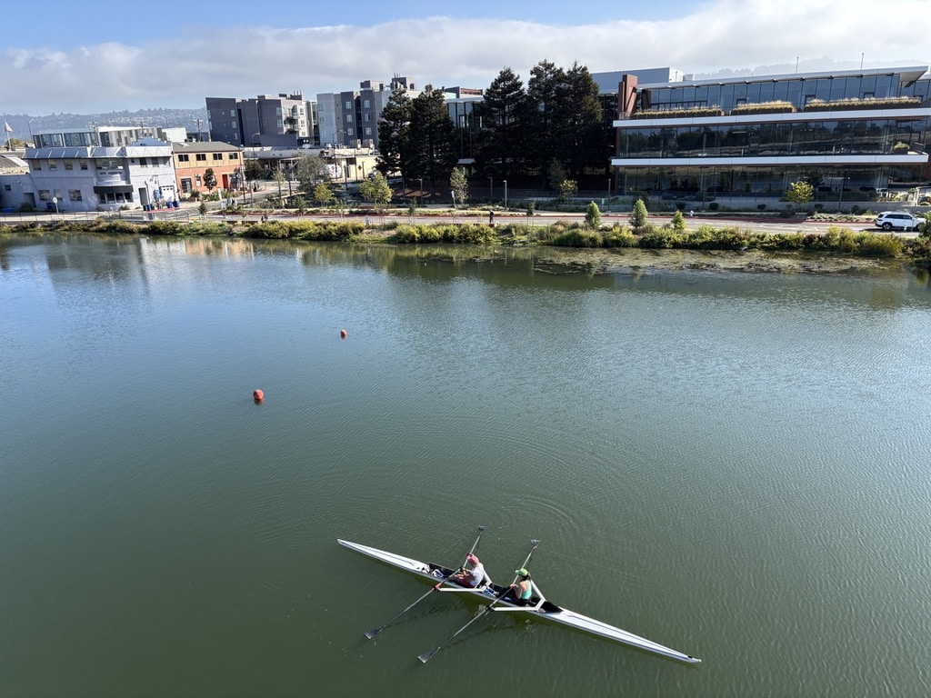 Rowers in the Berkeley Marina