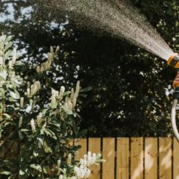 photo of water hose in summertime