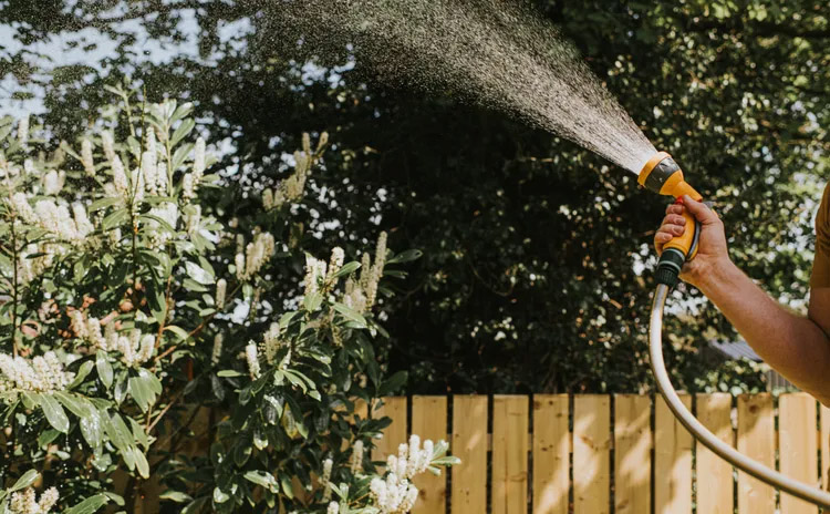 photo of water hose in summertime