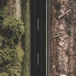 Road cutting through deforestation