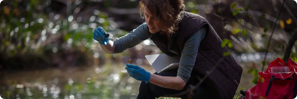 Transparency And Accountability