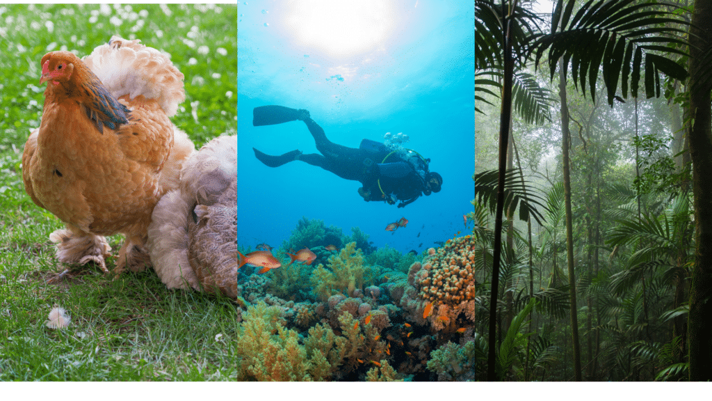 COUNTDOWN 7 CRAZY FACTS ABOUT COP - Earth Day