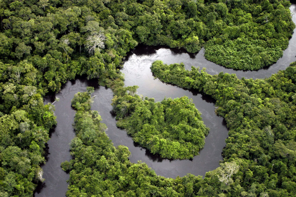 River in Amazon rainforest