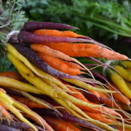 Rainbow carrots