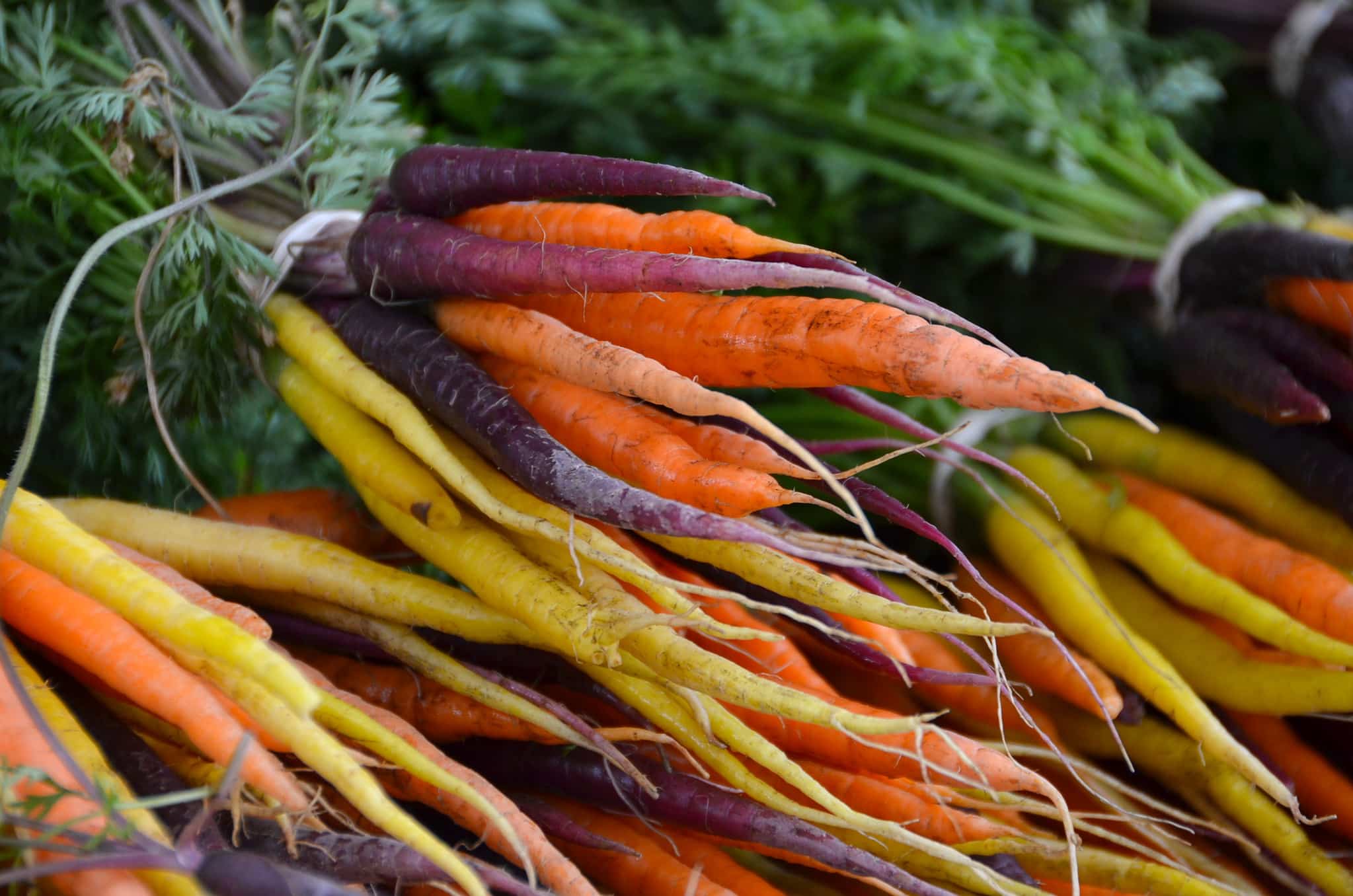 Rainbow carrots