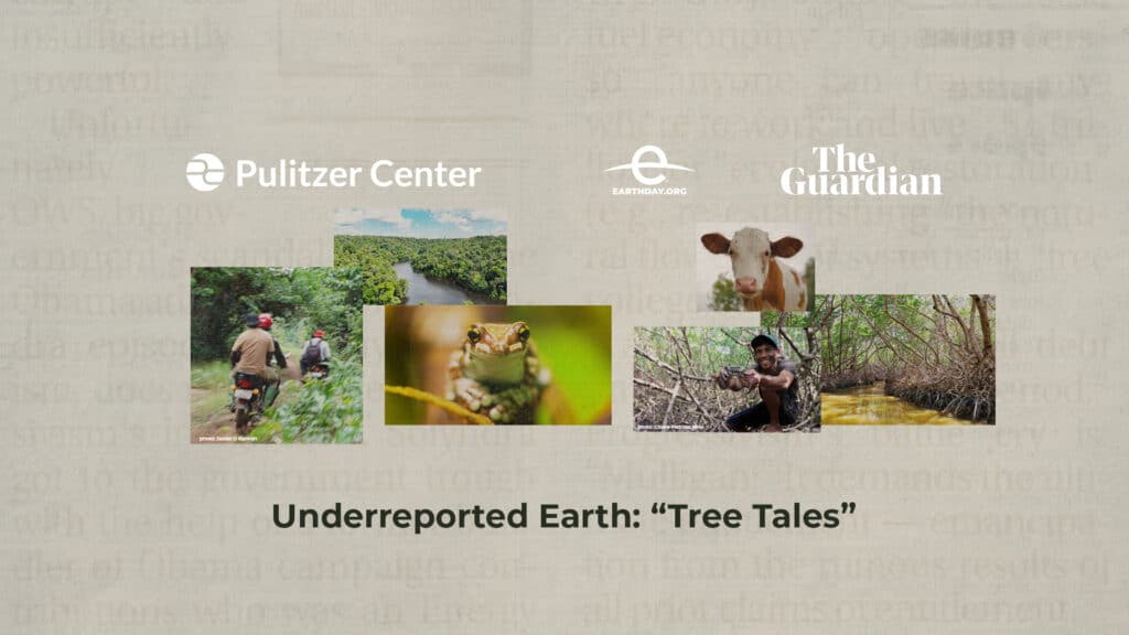 Underreported Earth: Tree Tales