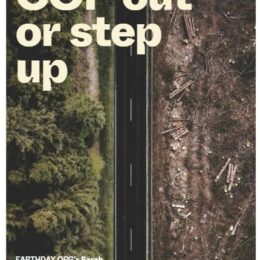 Green Pod Magazine Article by Sarah T. Davies