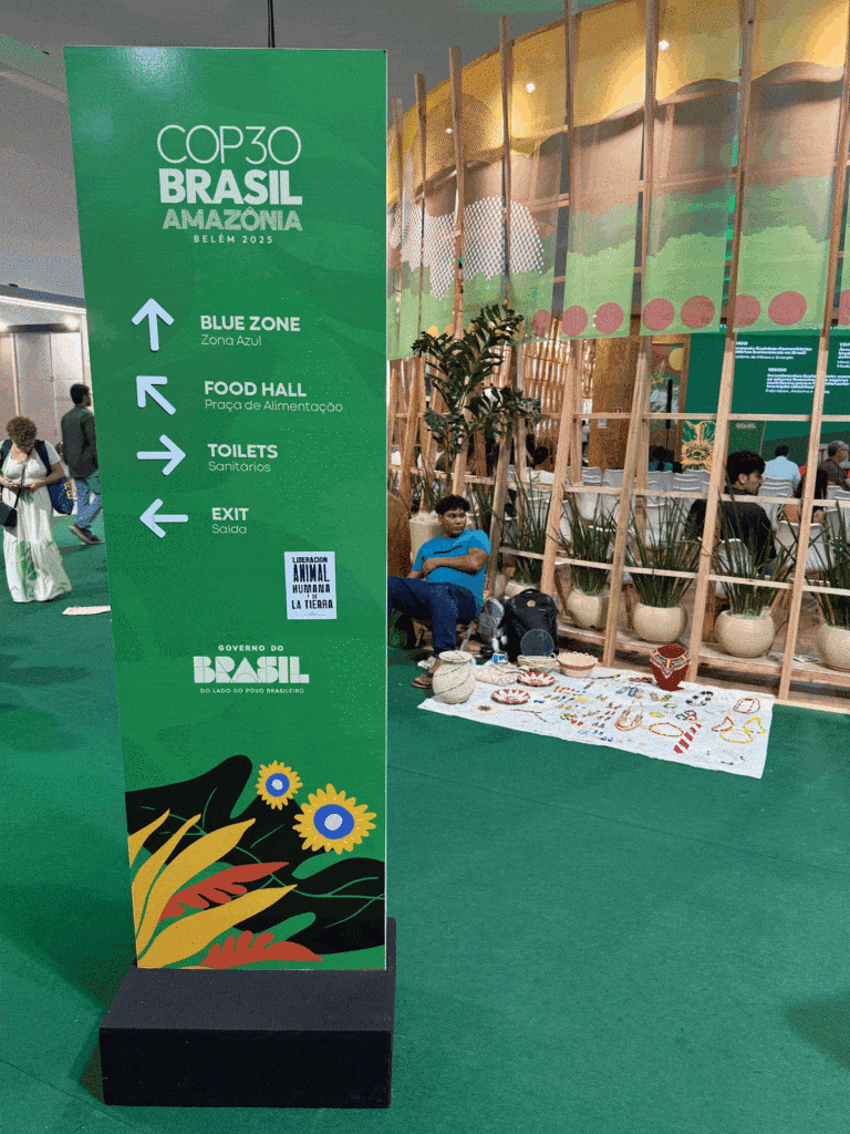 COP30 can be hectic, these signs helped me find my way!