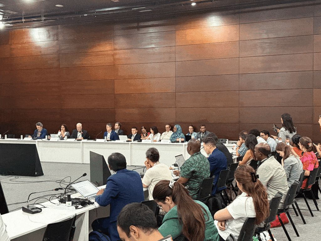 A panel in full swing at COP30