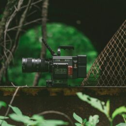 Movie camera in nature