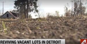 Vacant-lot-with-seedlings