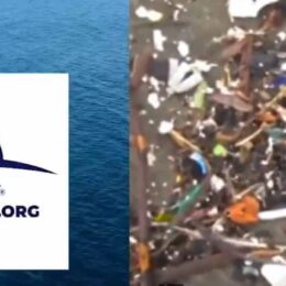 EarthDay.org-logo-and-ocean-plastics