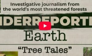Thumbnail-for-Underreported-Earth-series
