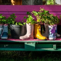 Upcycled planters