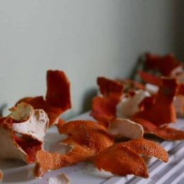 Dried organge peels Photo by Ana T. on Unsplash