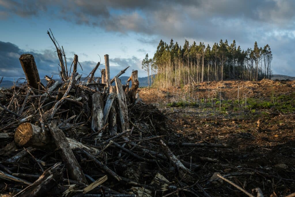 Logging