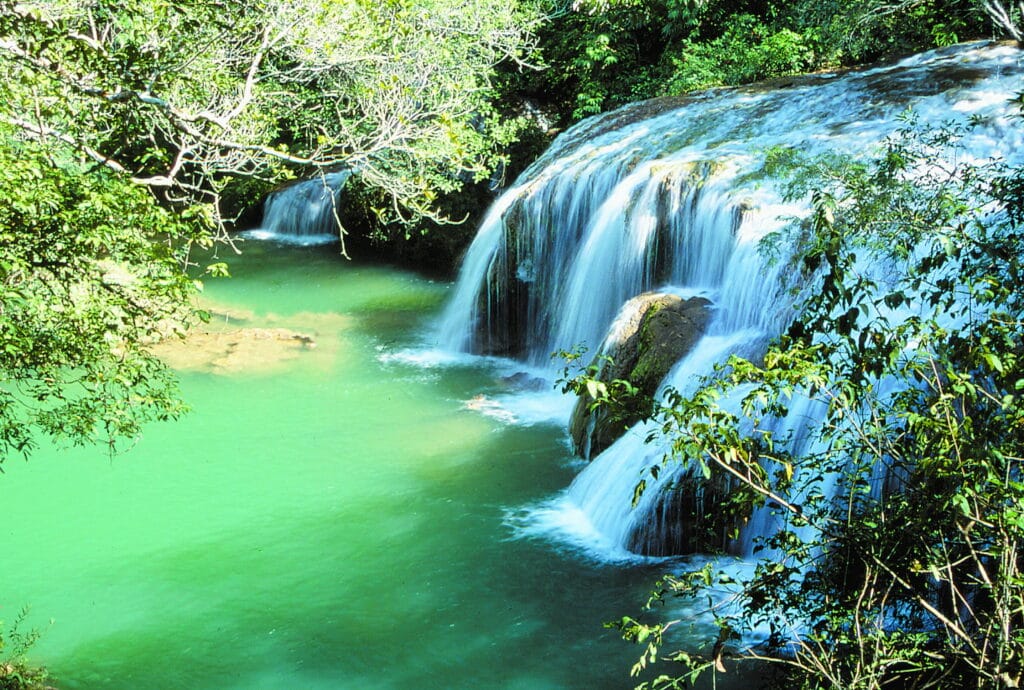 Waterfall in the Amazon