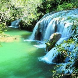 Waterfall in the Amazon