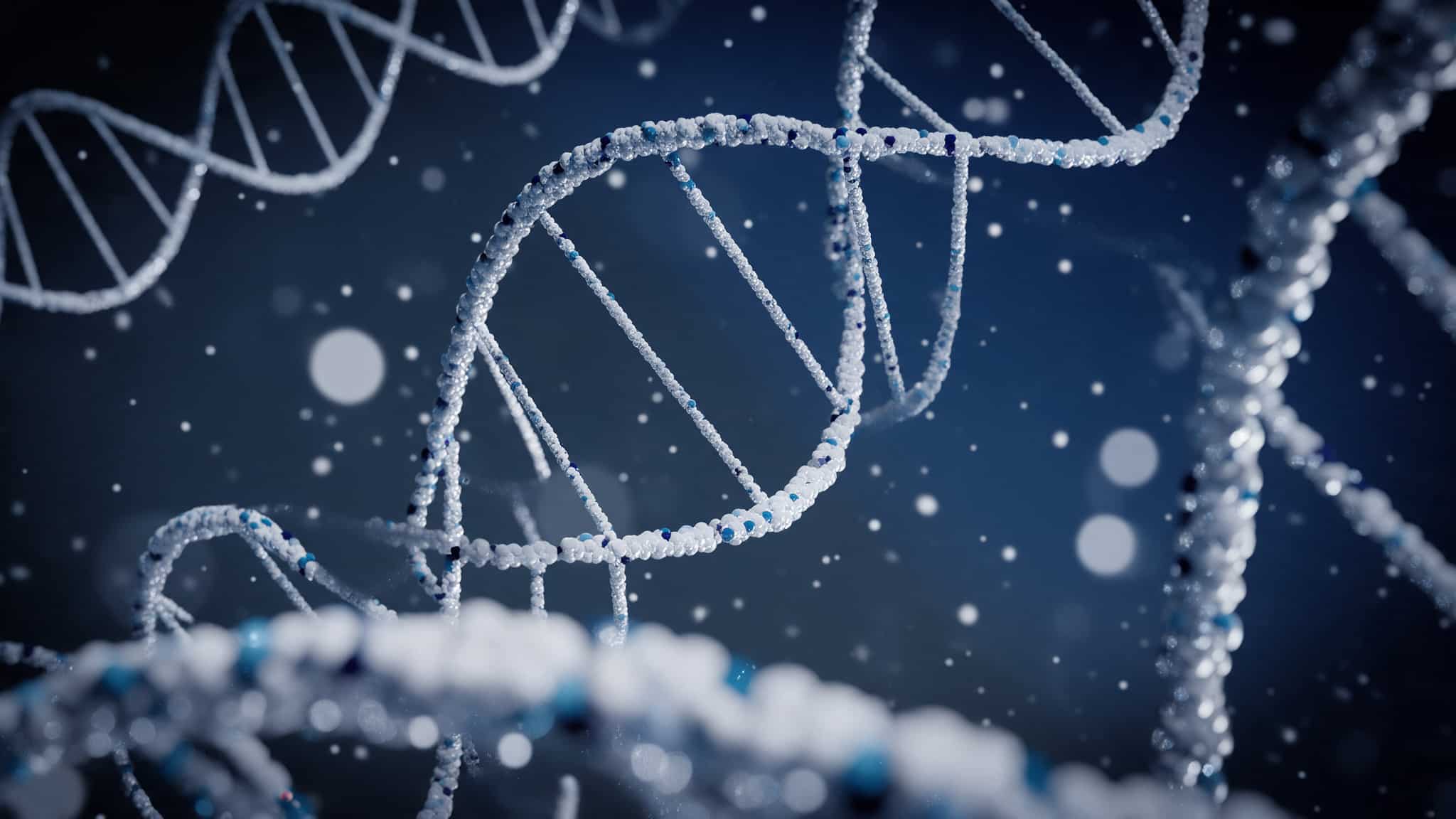 DNA double helix