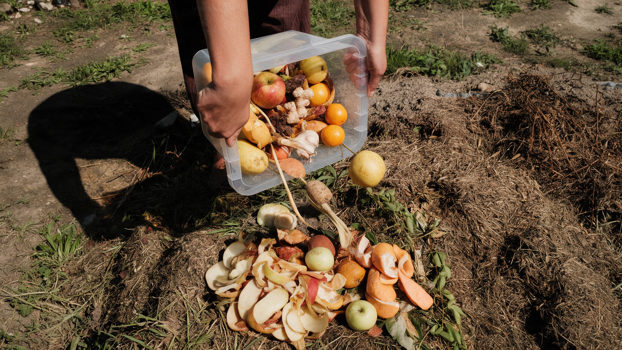 Person emptying food scraps onto a compost pile