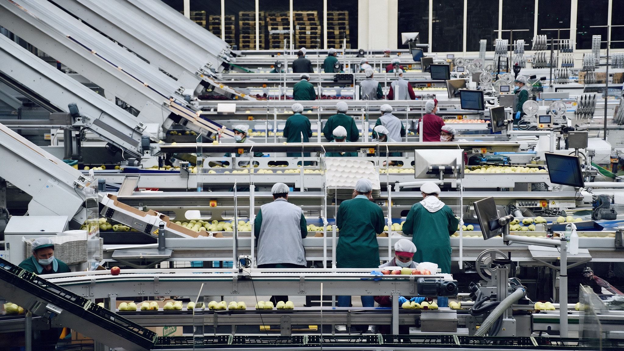 Workers on a food factory production line