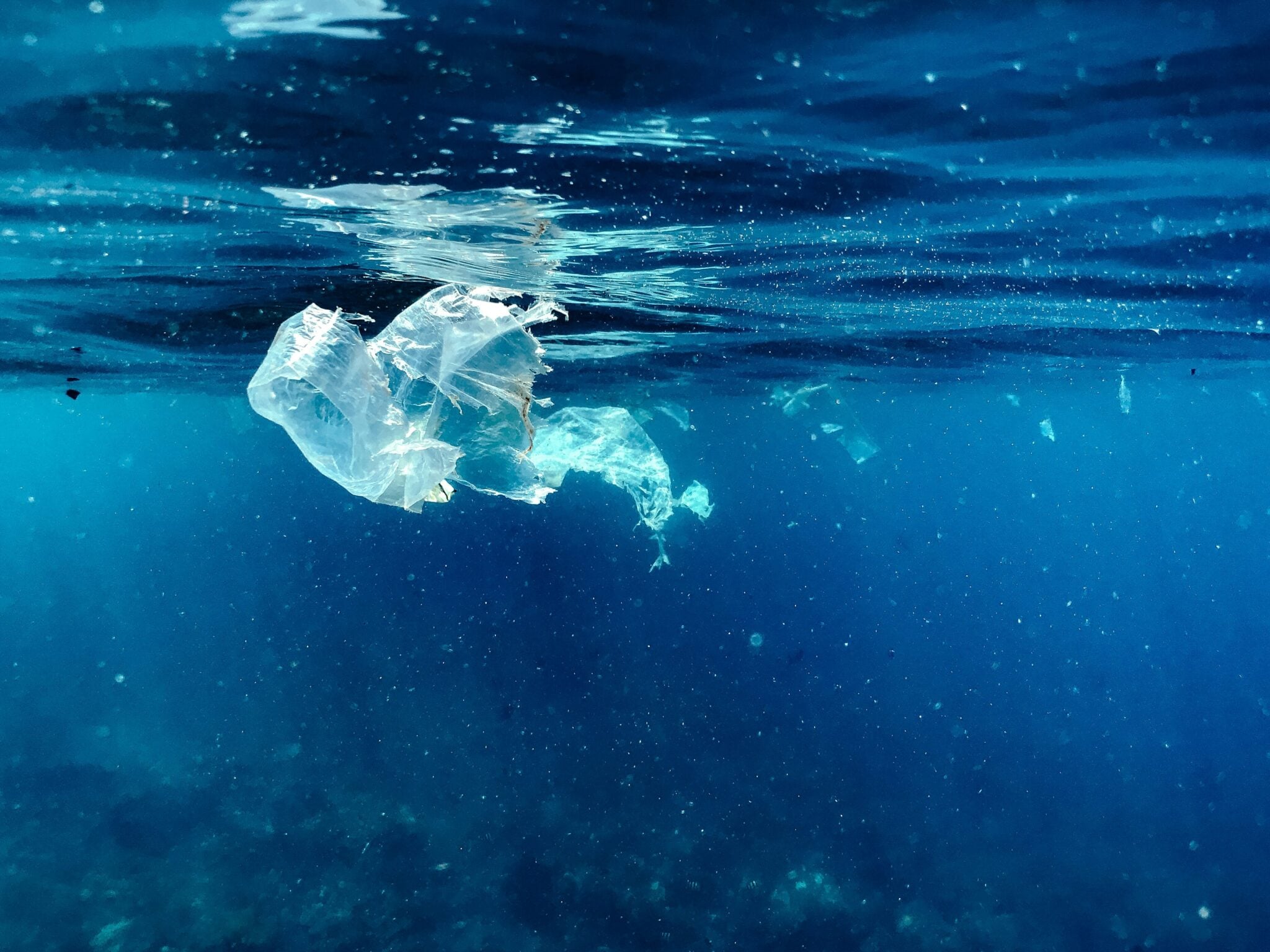 Plastic waste drifting in the ocean