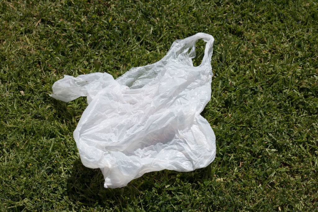 Image result for plastic bag on grass