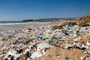 plastics lining beach